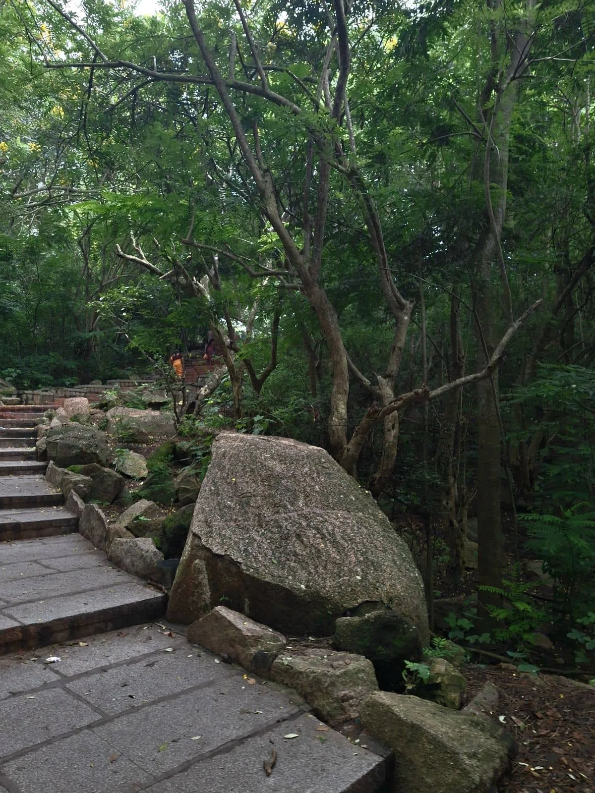 chamudi hill