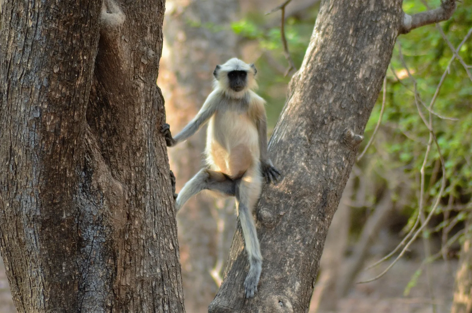 Biodiversity reserve