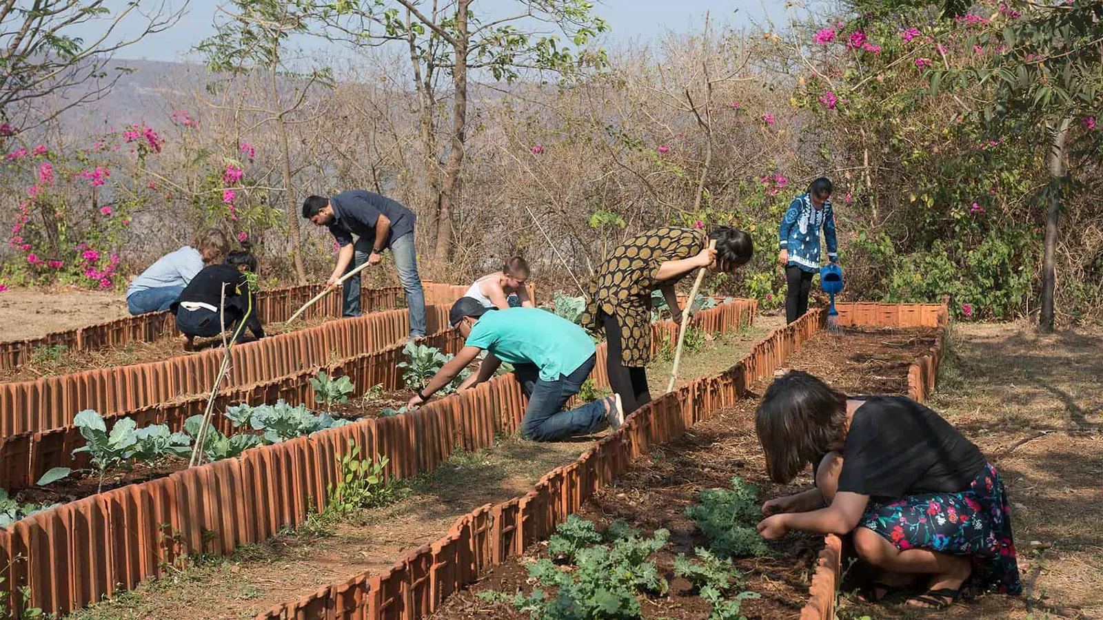 Students planting trees